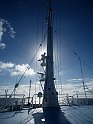 Mast and Funnel - the Charakteristics of FUNCHAL 0079